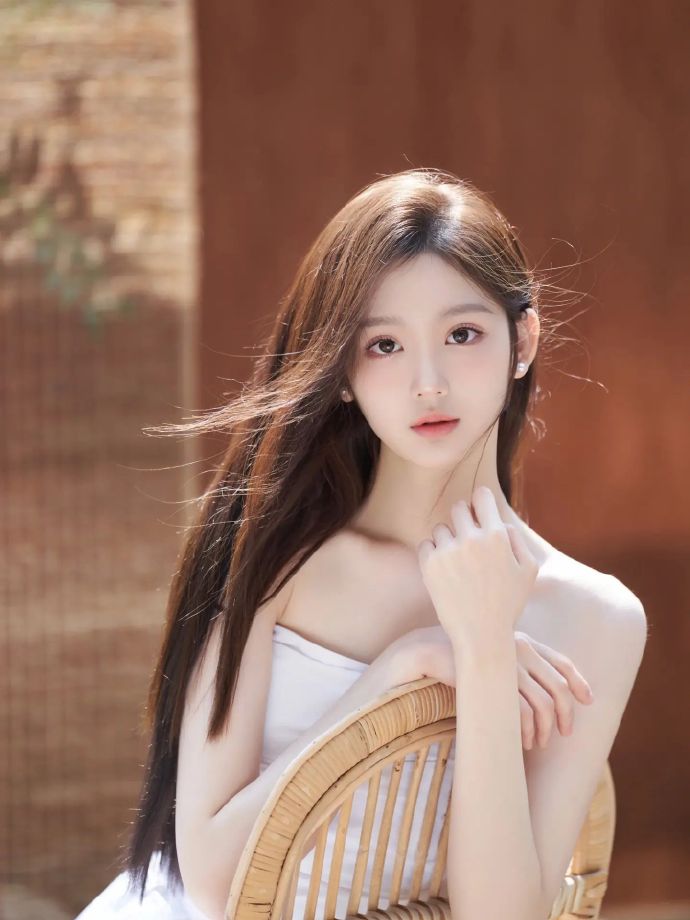 甄嬛传 封面